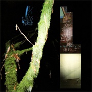 Kites / Prurient - The Hidden Family / +White+