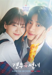 Head Over Heels (2025)