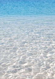 The Shallow End of the Ocean (2007)