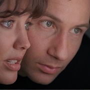 S3.E12: War of the Coprophages