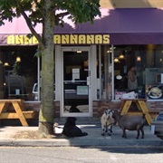 Anna Bannanas Cafe