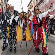 Rottweiler Narrensprung