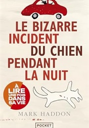 Le Bizarre Incident Du Chien Pendant La Nuit (Mark Haddon)