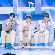 Not Spring, Love or Cherry Blossoms Love 101