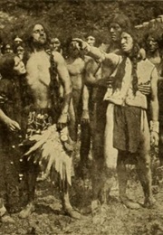 A Cheyenne Brave (1910)