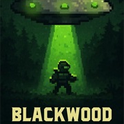 Blackwood Division