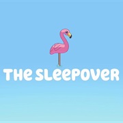 S1.E39: The Sleepover
