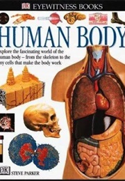 DK Eyewitness: Human Body (Richard Walker)