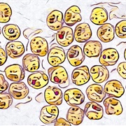 Kikuo - Kara Kara Kara No Kara