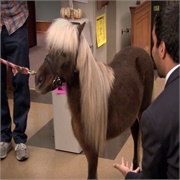 Parks and Recreation: "Li'l Sebastian" (S3,E16)