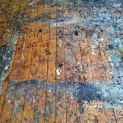 Painted Shield- Painted Shield