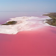 The Pink Lake in Ukraine