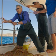 S2.E6: Greece: Island-Hopping in the Aegean