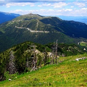 Parangalitsa Nature Reserve, Bulgaria