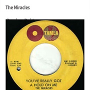 #93 You've Really Got a Hold on Me by the Miracles