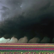 Destroyer (M.A.G.S., 2023)