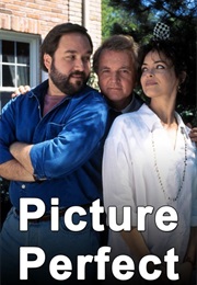 Picture Perfect (1995)