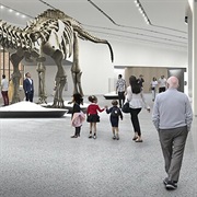 Museum Music (Edward Skeletrix, 2025)