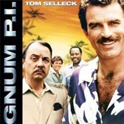 Magnum Pi Season 6