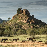 Laikipia