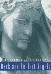 Dark and Perfect Angels (Benjamin Alire Sáenz)