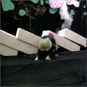 Most Extreme Elimination Challenge: "People Who Piss Us off vs. Worst Jobs" (S5,E12)