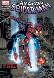 The Amazing Spider-Man #508 (J. Michael Straczynski & John Romita Jr.)