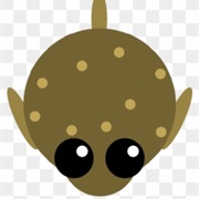 Pufferfish