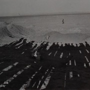 Mass Gravesite, Calama, Chile, October 1990 (Paula Allen)