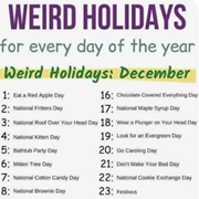 Celebrate a Silly Holiday