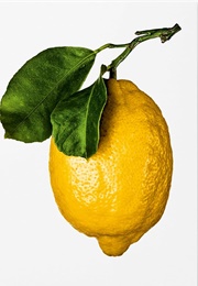 The Gourmand's Lemon: A Collection of Stories and Recipes (The Gourmand)