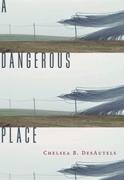 A Dangerous Place (Chelsea B. Desautels)
