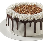 Turtle Ice Cream Cake