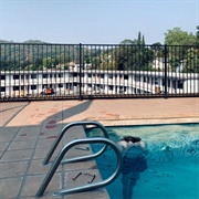 I'm Dead - Drew Monson