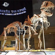 Central Museum of Dinosaurs, Ulaanbaatar
