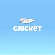 S3.E47: Cricket