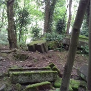 Milner Field Ruins