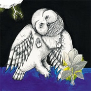 The Magnolia Electric Co. (Songs: Ohia, 2003)