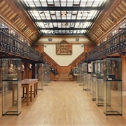 Musée De L'histoire De La Médecine De Paris