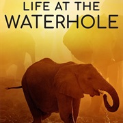 Life at the Waterhole (Tanzania)