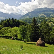 Pietrosul Mare Biosphere Reserve, Romania
