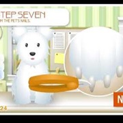 America Girl Pet Grooming Studio