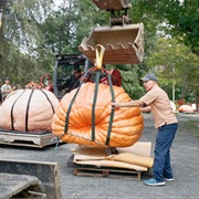 S3.E3: How to Work Out