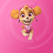 Skye (Paw Patrol)