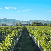 Bridge Pa, New Zealand