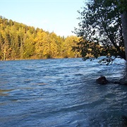 Kasilof River State Recreation Site