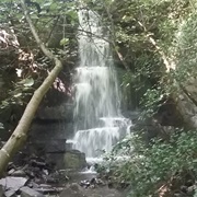 Harmby Waterfall