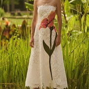 One Large Flower on Dress