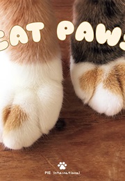 Cat Paws (Pie International)