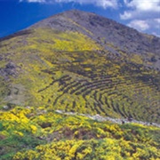 Real Sitio De San Ildefonso-El Espinar Biosphere Reserve, Spain